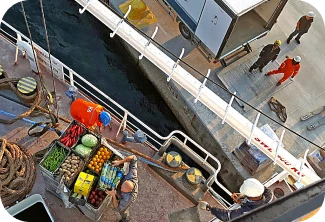 Arma Ship Supply - Provisions 3